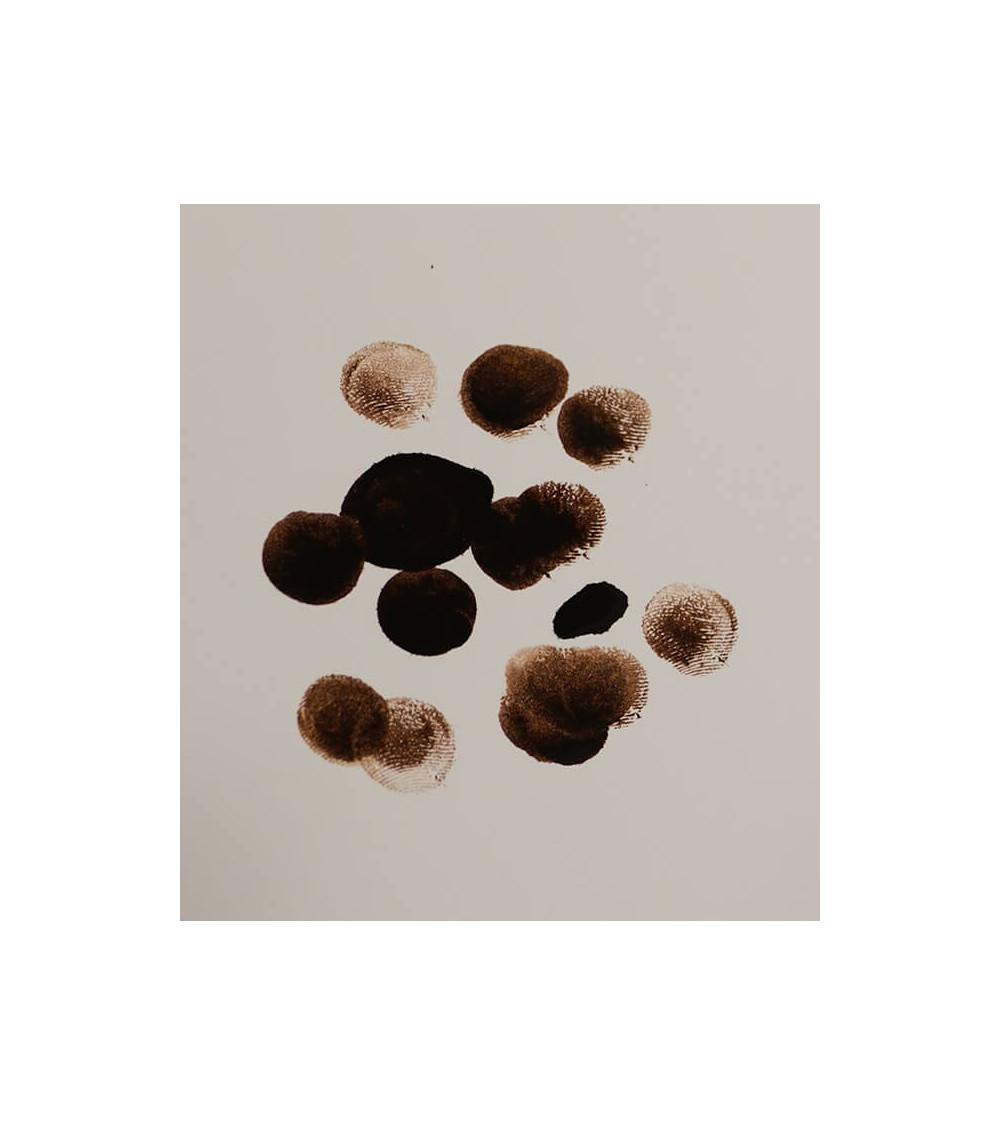 Encre FW 180 Ml Marron Antilope - Encre Acrylique Daler-Rowney Pour Artistes