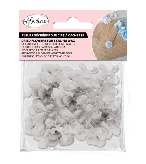 Sachet de Fleurs Séchées 1,5g | Blanc