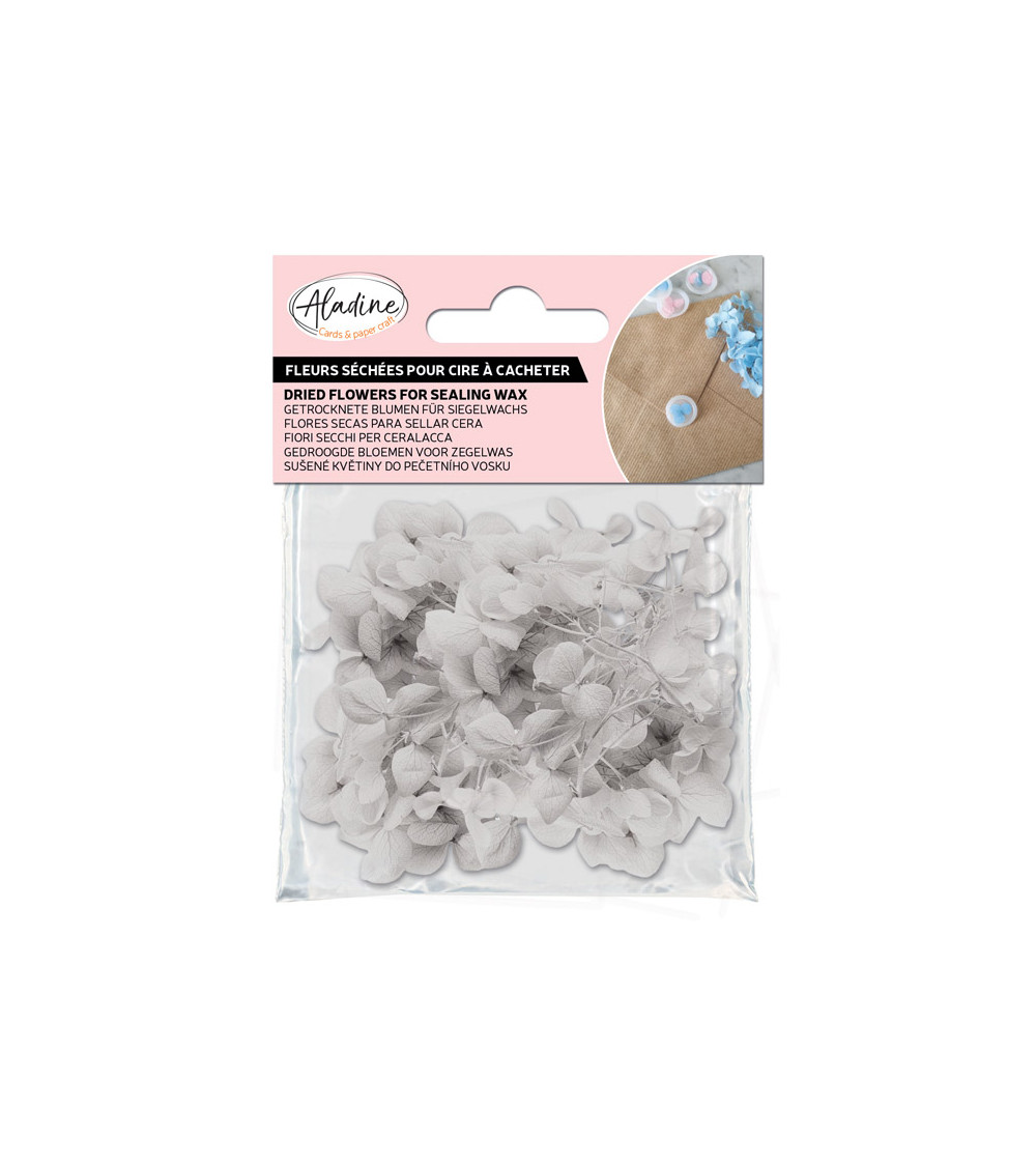 Sachet de Fleurs Séchées 1,5g | Blanc
