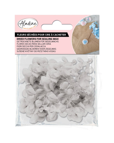 Sachet de Fleurs Séchées 1,5g | Blanc