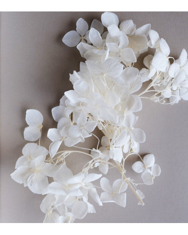 Sachet de Fleurs Séchées 1,5g | Blanc