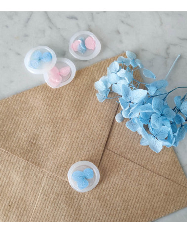 Sachet de Fleurs Séchées 1,5g | Blanc