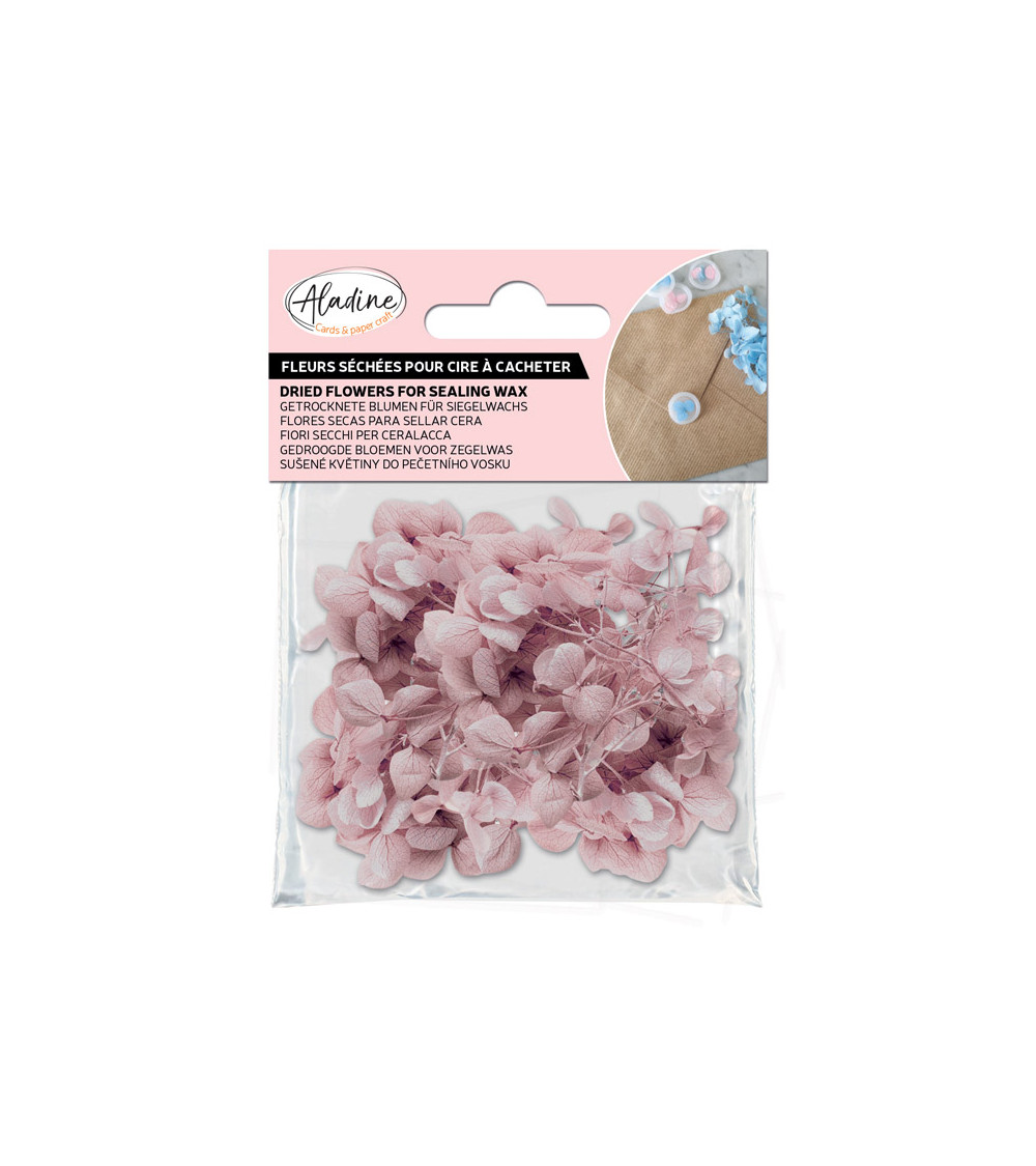 Sachet de Fleurs Séchées 1,5g | Rose Poudré