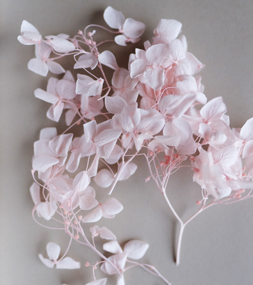 Sachet de Fleurs Séchées 1,5g | Rose Poudré