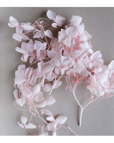 Sachet de Fleurs Séchées 1,5g | Rose Poudré