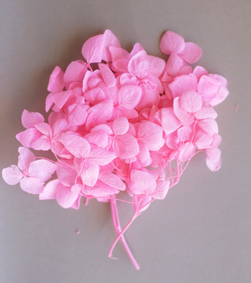 Sachet de Fleurs Séchées 1,5g | Rose Vif