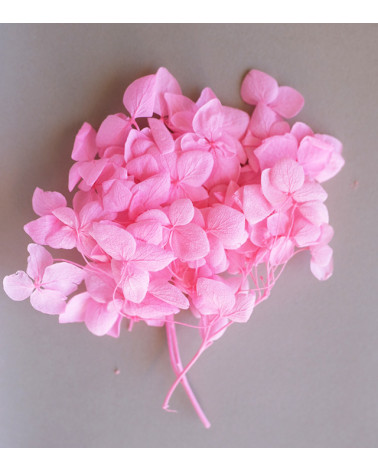 Sachet de Fleurs Séchées 1,5g | Rose Vif