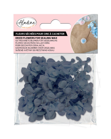 Sachet de Fleurs Séchées 1,5g | Violet