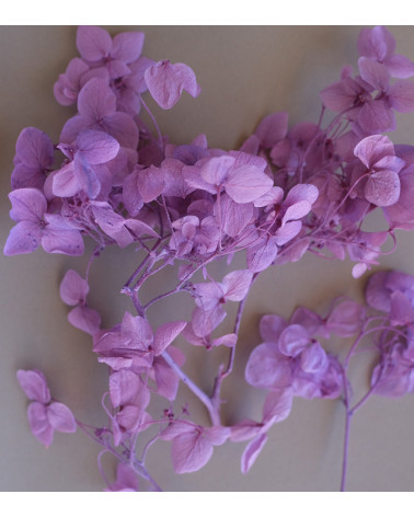 Sachet de Fleurs Séchées 1,5g | Violet