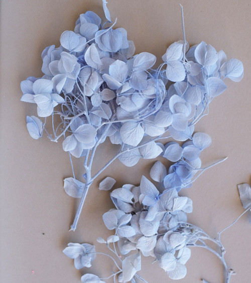 Sachet de Fleurs Séchées 1,5g | Bleu