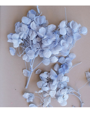 Sachet de Fleurs Séchées 1,5g | Bleu