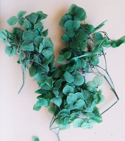 Sachet de Fleurs Séchées 1,5g | Vert