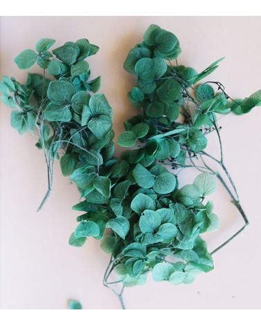 Sachet de Fleurs Séchées 1,5g | Vert