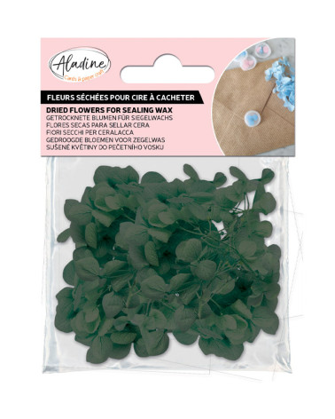 Sachet de Fleurs Séchées 1,5g | Vert