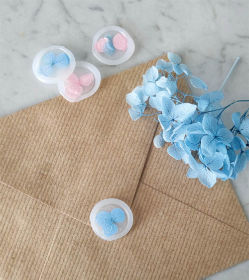 Sachet de Fleurs Séchées 1,5g | Vert