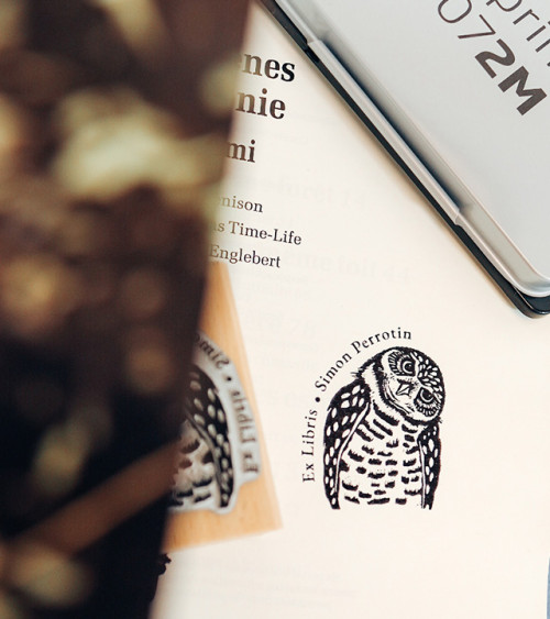 Tampon en Bois Ex-libris "Hibou Plume"