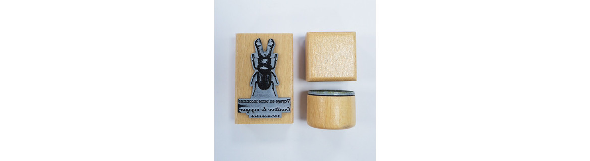 Tampon Mini Ancre En Bois Woodies - Dimensions 1,5 X 1,5 X 3 Cm - Caoutchouc Naturel - Sans Encreur